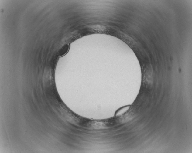 X0000062890518200602031810