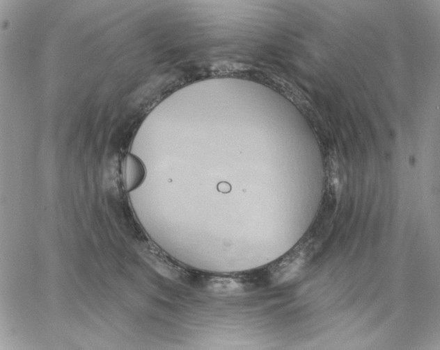 X0000062890519200602031810