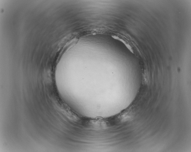 X0000062890520200602031810