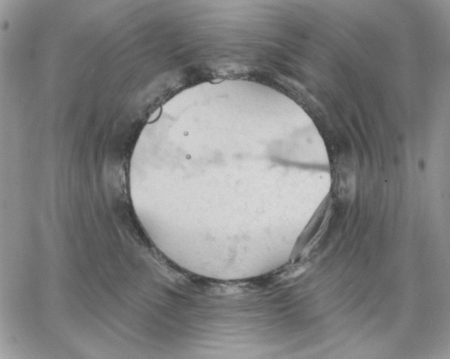 X0000062890523200602031810