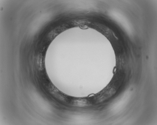 X0000062890525200602031810