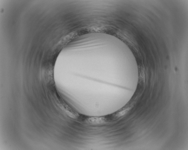 X0000062890526200602031810