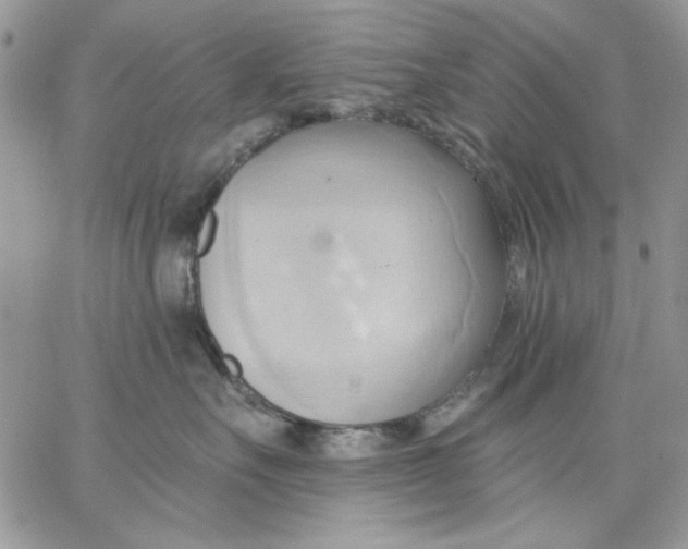 X0000062890527200602031810