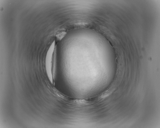 X0000062890528200602031810