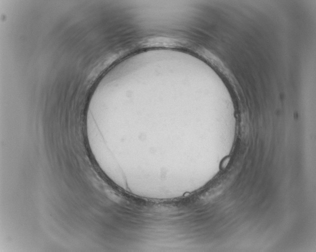 X0000062890529200602031809