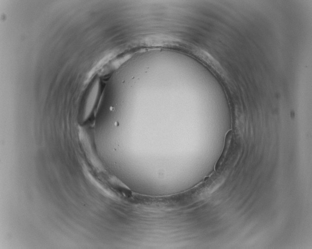 X0000062890530200602031809