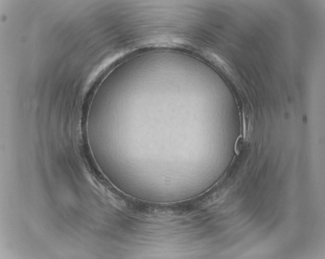 X0000062890531200602031809