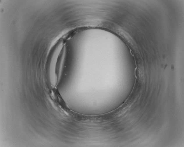 X0000062890532200602031809