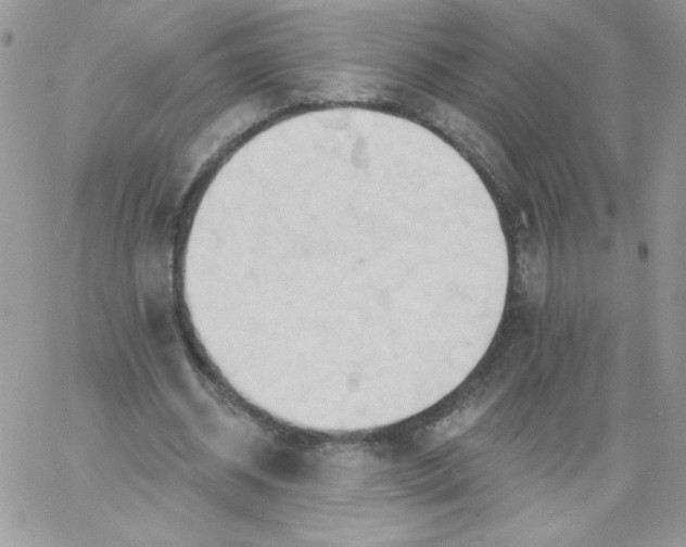 X0000062890534200602031809