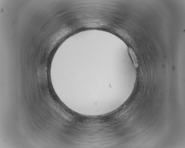 X0000062890535200602031809