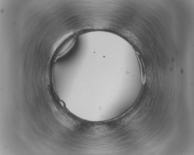 X0000062890536200602031809