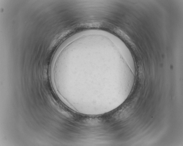 X0000062890537200602031809