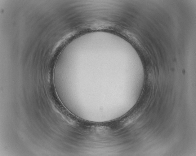 X0000062890539200602031809