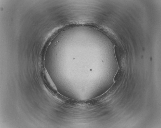 X0000062890540200602031809