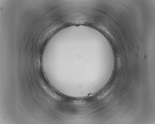 X0000062890541200602031809