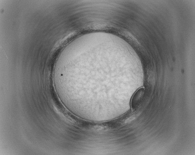 X0000062890542200602031809