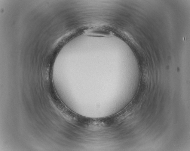 X0000062890543200602031809