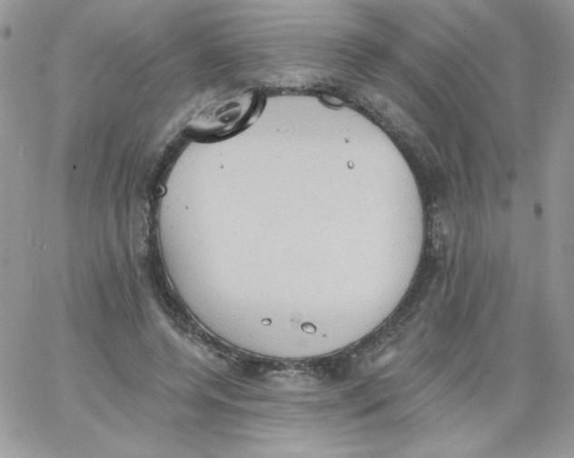 X0000062890544200602031809