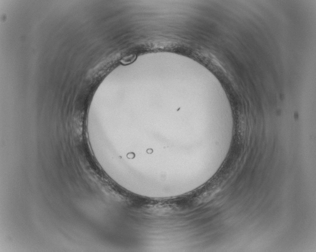 X0000062890545200602031809