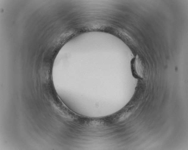 X0000062890546200602031810