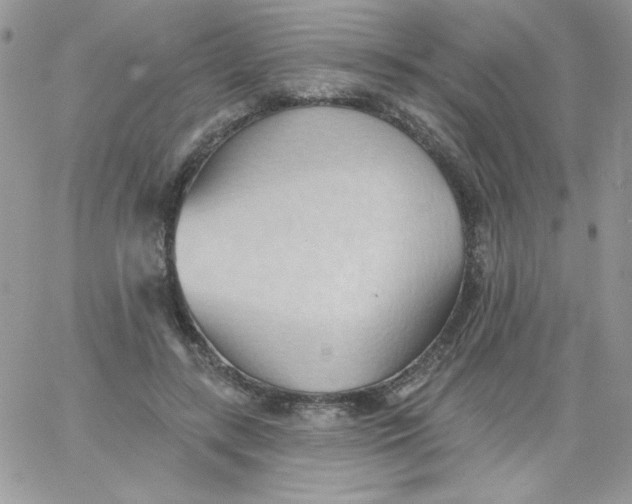 X0000062890547200602031810