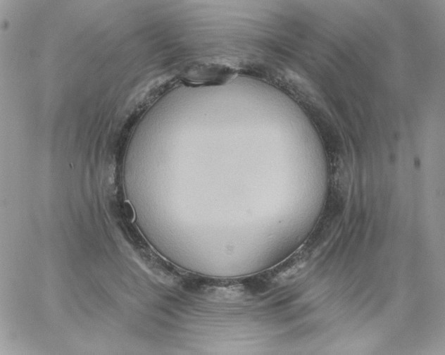 X0000062890548200602031810