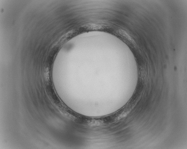 X0000062890549200602031810