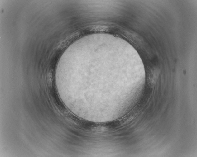 X0000062890551200602031810