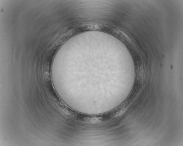 X0000062890553200602031810