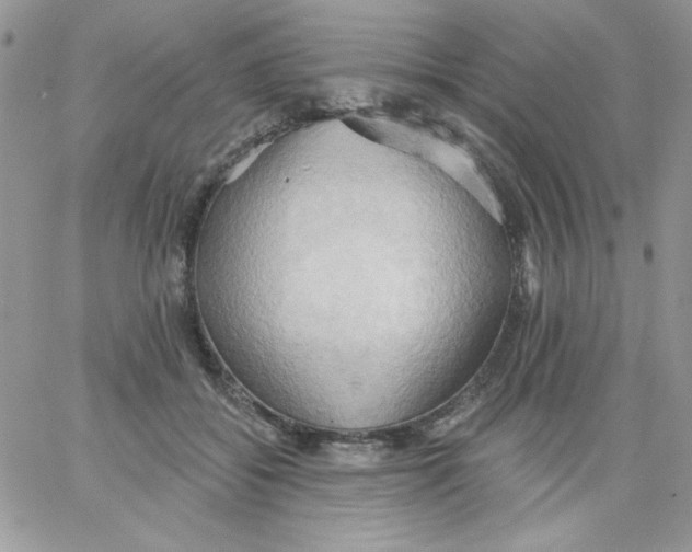 X0000062890556200602031810