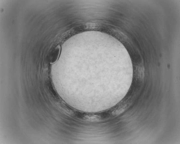 X0000062890557200602031810