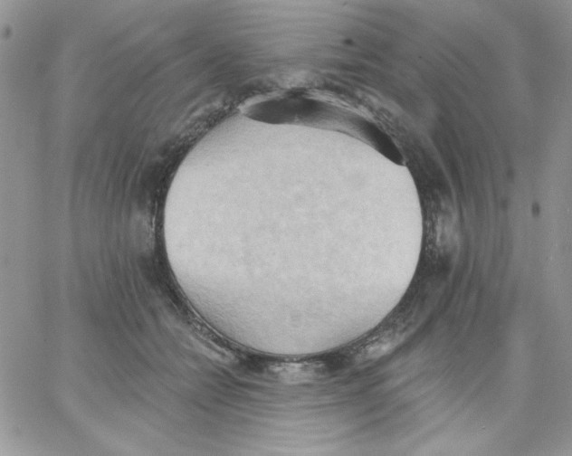 X0000062890558200602031810