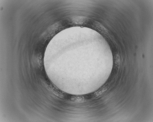 X0000062890559200602031810