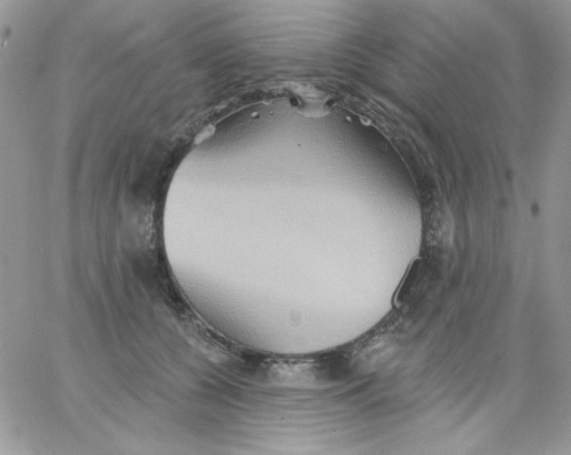 X0000062890560200602031810