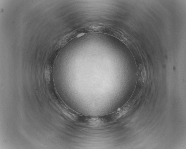 X0000062890562200602031810