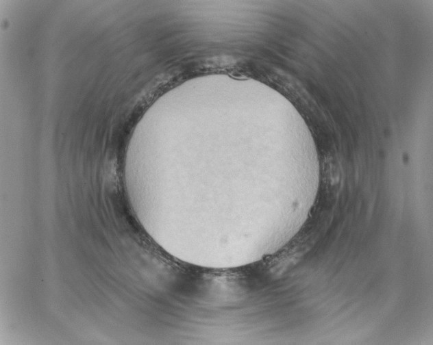 X0000062890564200602031810