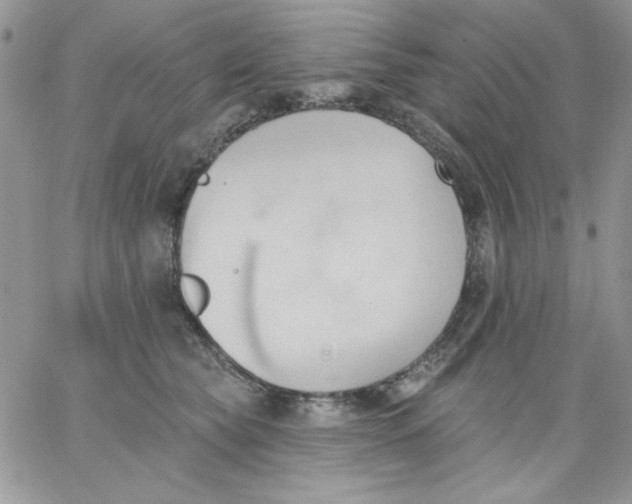 X0000062890565200602031810