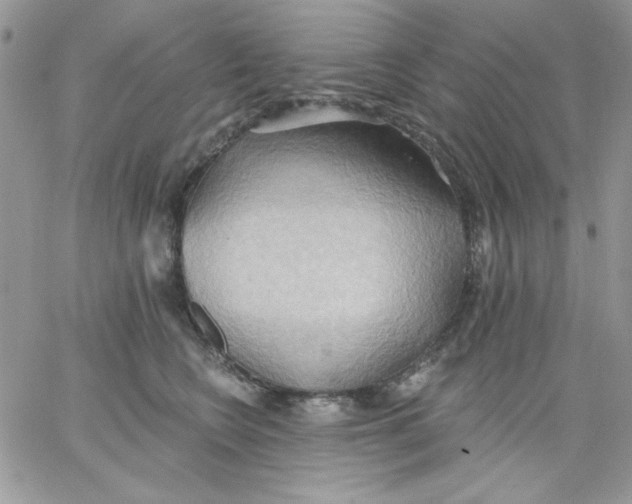 X0000062890566200602031810