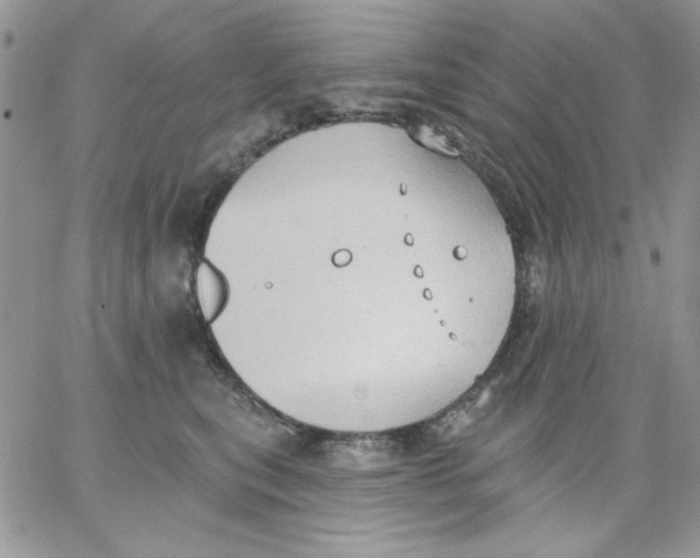 X0000062890567200602031810