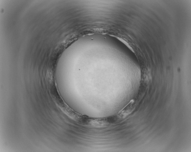 X0000062890568200602031810