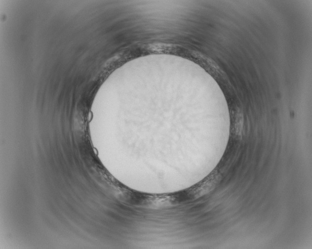 X0000062890569200602031810