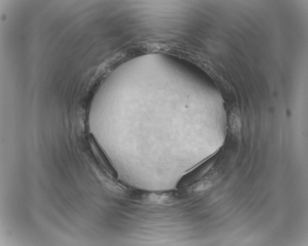 X0000062890570200602031810