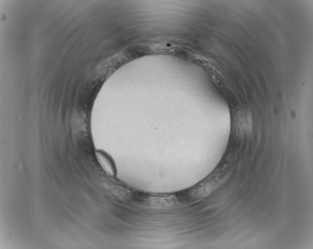 X0000062890571200602031810