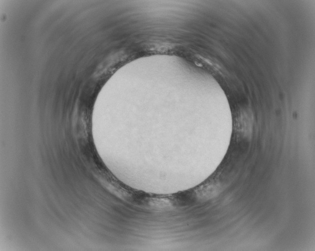 X0000062890572200602031810