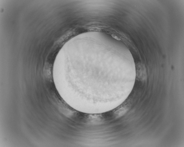 X0000062890573200602031810