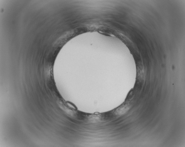 X0000062890574200602031810