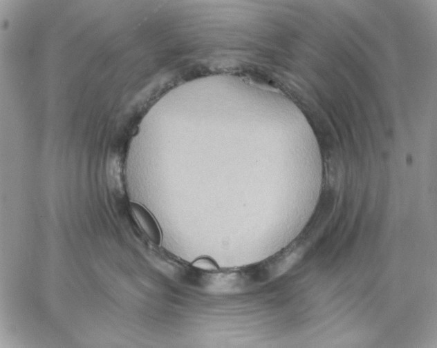 X0000062890575200602031810