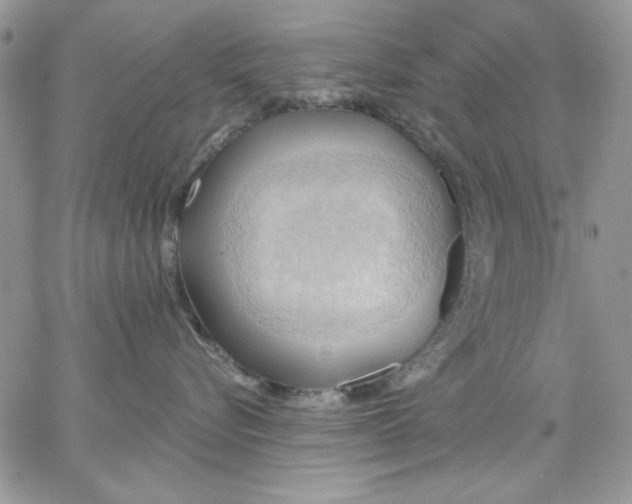 X0000062890576200602031810