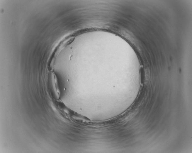 X0000062890580200602031809