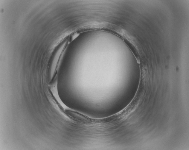 X0000062890581200602031809